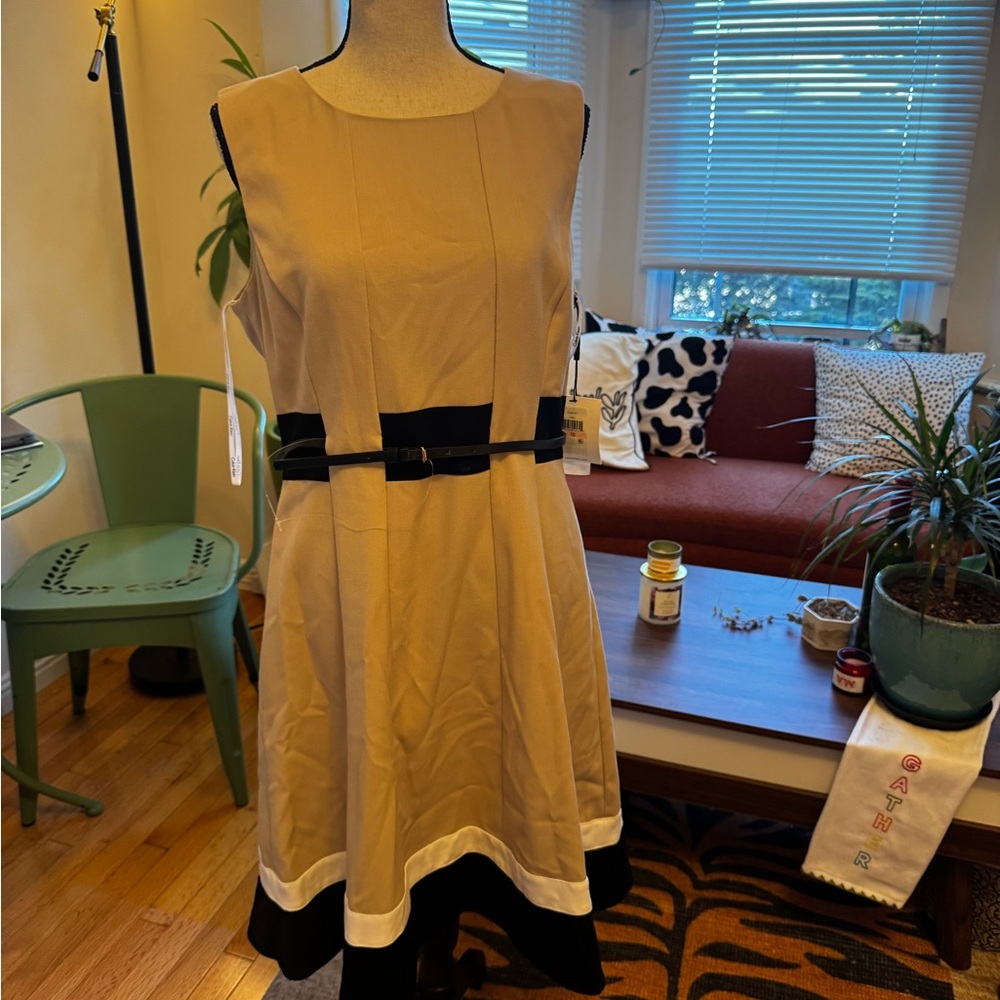 Calvin Klein Beige and Black Mini Dress